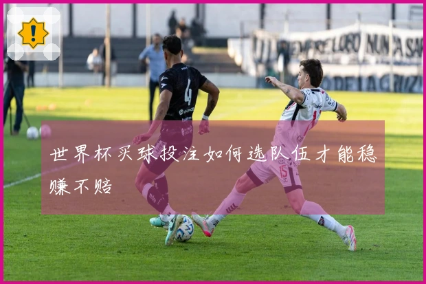 世界杯买球投注如何选队伍才能稳赚不赔