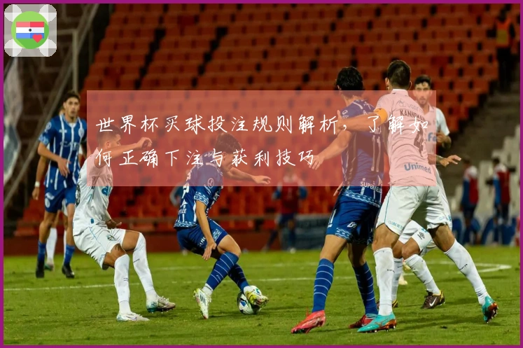 世界杯买球投注规则解析，了解如何正确下注与获利技巧