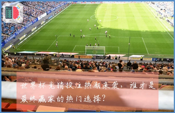 世界杯竞猜投注热潮来袭，谁才是最终赢家的热门选择？