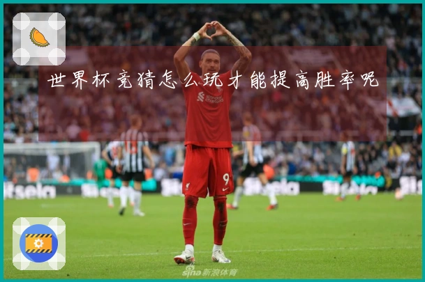 世界杯竞猜怎么玩才能提高胜率呢