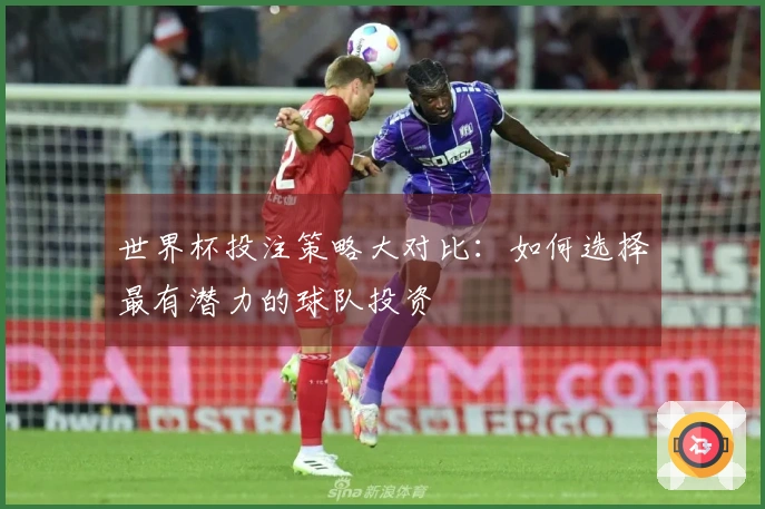 世界杯投注策略大对比：如何选择最有潜力的球队投资