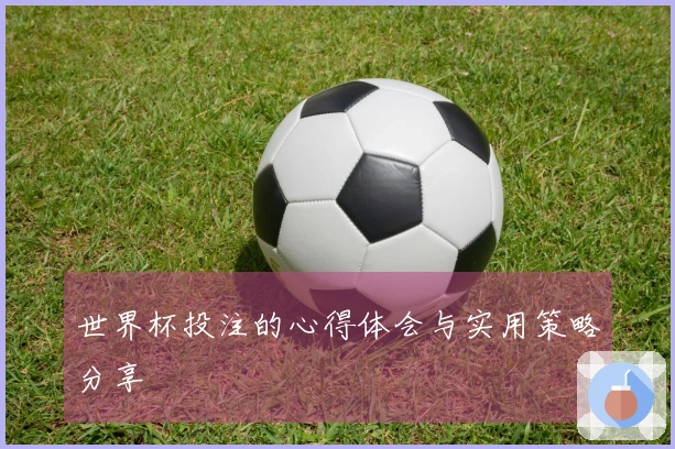 世界杯投注的心得体会与实用策略分享