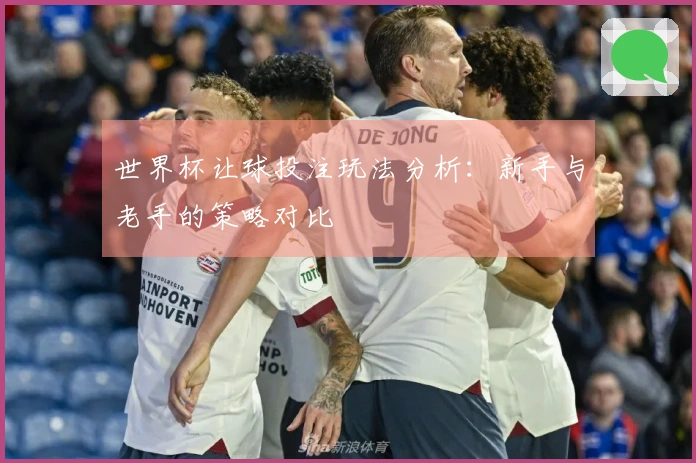 世界杯让球投注玩法分析：新手与老手的策略对比