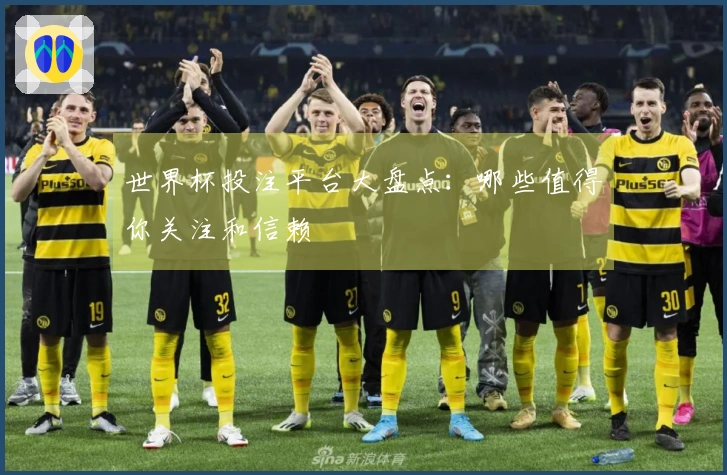 世界杯投注平台大盘点：哪些值得你关注和信赖