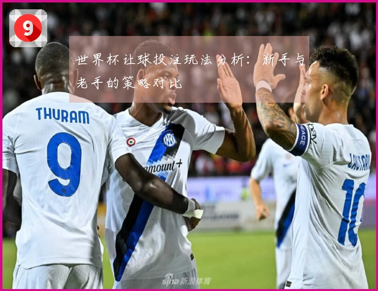 世界杯让球投注玩法分析：新手与老手的策略对比