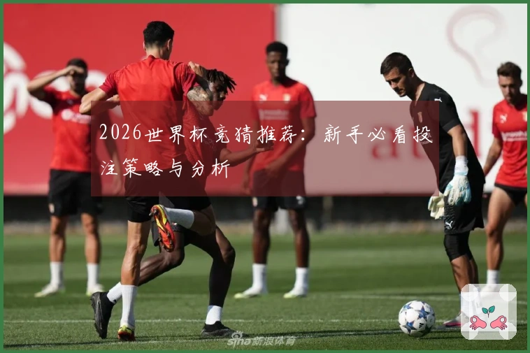 2026世界杯竞猜推荐：新手必看投注策略与分析