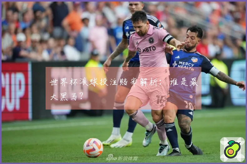 世界杯滚球投注赔率解析：谁是最大黑马？