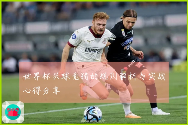 世界杯买球竞猜的规则解析与实战心得分享