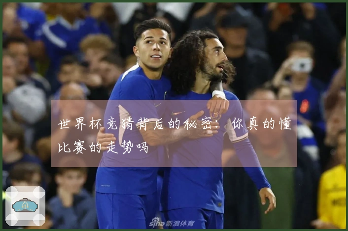 世界杯竞猜背后的秘密：你真的懂比赛的走势吗