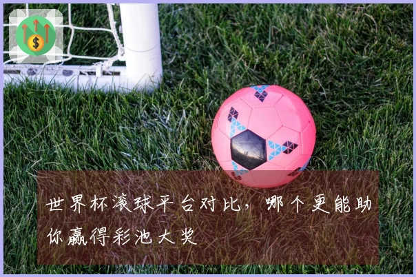 世界杯滚球平台对比，哪个更能助你赢得彩池大奖