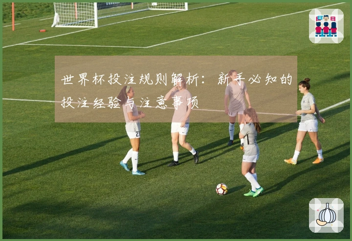 世界杯投注规则解析：新手必知的投注经验与注意事项