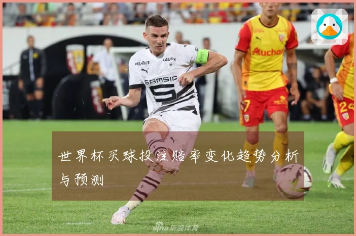 世界杯买球投注赔率变化趋势分析与预测