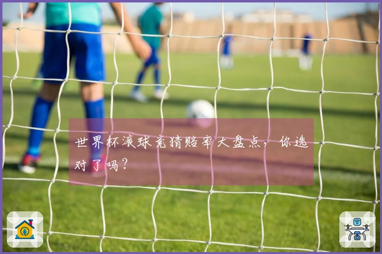 世界杯滚球竞猜赔率大盘点，你选对了吗？