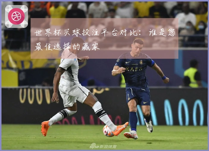 世界杯买球投注平台对比：谁是您最佳选择的赢家