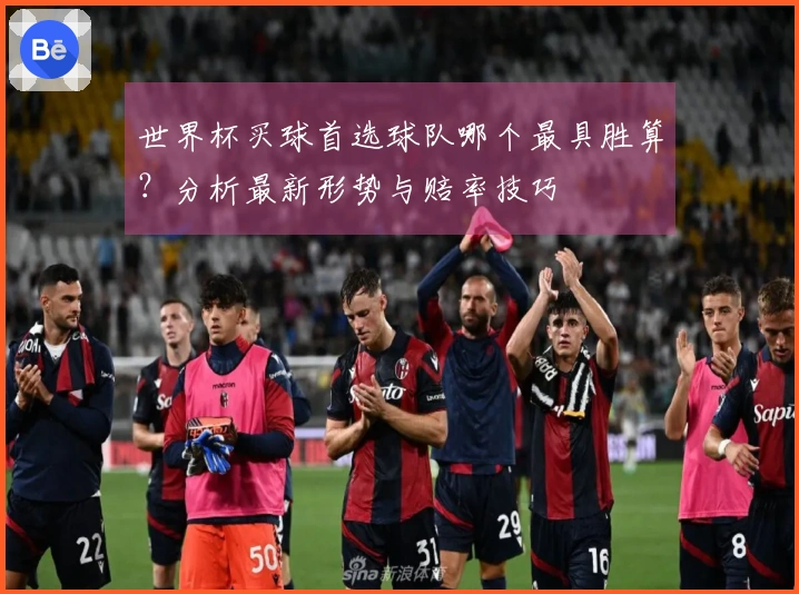 世界杯买球首选球队哪个最具胜算？分析最新形势与赔率技巧